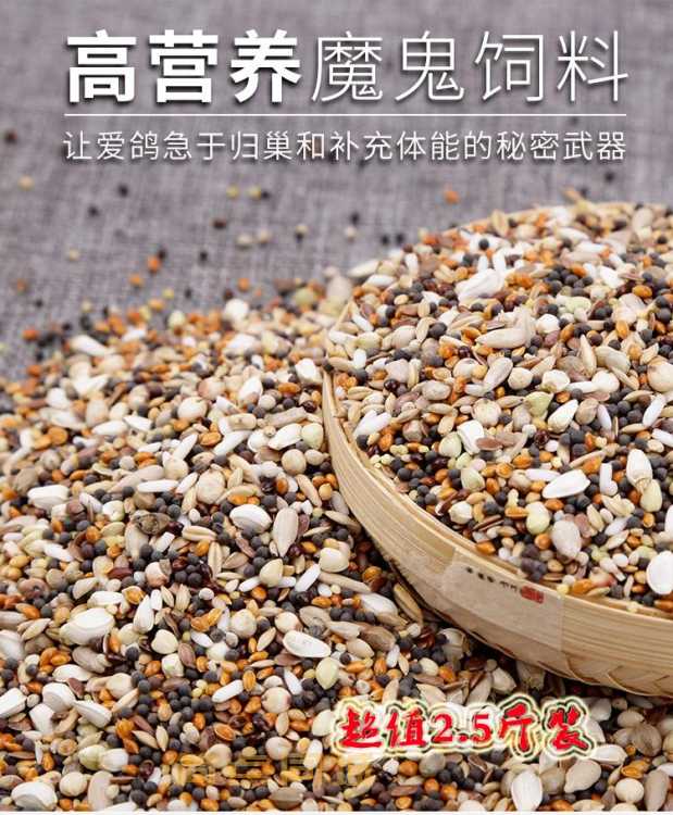 饲料