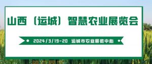 综合展会