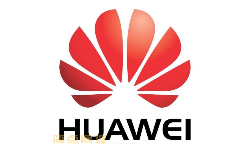 带宽光纤/布线