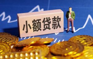 成都私人借钱公司:|成都个人放款成都个人借钱成都私人借钱
